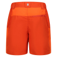 nahlad Šortky Regatta Sorcer Mountain Short III