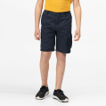nahlad Šortky Regatta Shorewalk Short